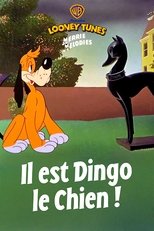 Il est dingo le chien