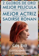 Imagen Lady Bird (HDRip) Español Torrent