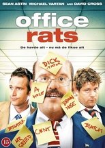Office Rats