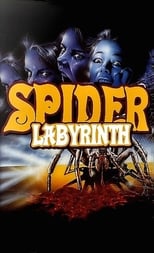 The Spider Labyrinth