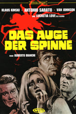 Das Auge der Spinne