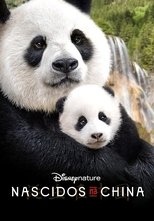 Image Nascidos na China