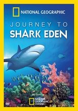 Journey to Shark Eden