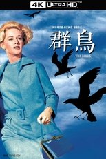 群鸟