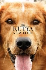 Egy kutya négy élete