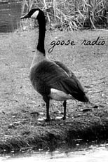Goose Radio