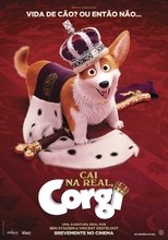 Image Corgi: Top Dog