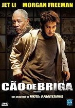 Image Cão de Briga