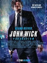 Image John Wick 3 : Parabellum