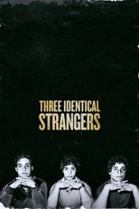 Three Identical Strangers