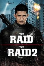 The Raid Collection