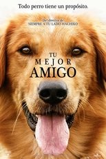Image Ver Tu mejor amigo (2017) Online