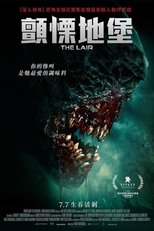 巢穴