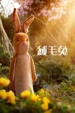 绒布小兔子