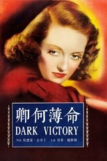 黑暗的胜利