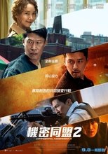 共助2:国际