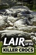 Lair Of The Killer Crocs