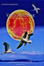 Vándormadarak