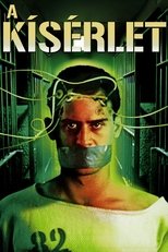 A kísérlet