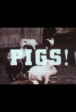 Pigs!