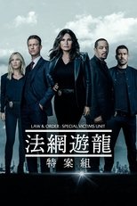 法律与秩序:特殊受害者