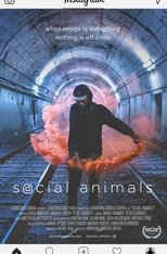 Imagen Social Animals