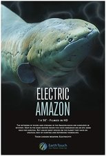 Electric Amazon