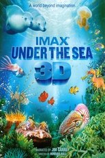 Under the Sea 3D