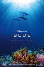 Image Blue