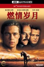 燃情岁月
