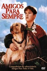 Image Amigos Para Sempre