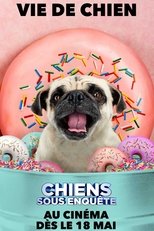 Image Show Dogs