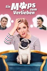 Ein Mops zum Verlieben