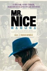 미스터 나이스