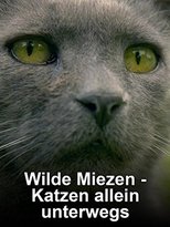 Wilde Miezen - Katzen allein unterwegs