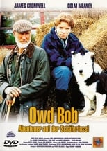 Owd Bob