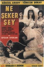 Ne Şeker Şey