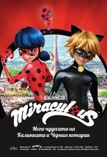 Мега-чудесата на Калинката и Черния котарак