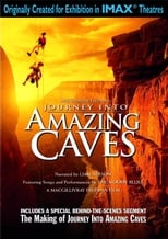 Journey into Amazing Caves