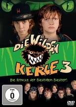 Die Wilden Kerle 3