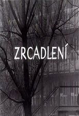 Zrcadlení