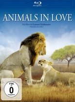 Animals in Love