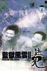 监狱风云2:逃犯