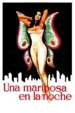 Una Mariposa en la Noche