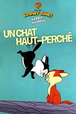 Un chat haut-perché