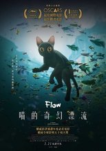 猫猫的奇幻漂流