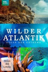 Atlantic: The Wildest Ocean on Earth - Life Stream