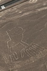 Nasca lines decoded