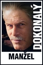 Dokonalý manžel