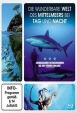 Die wunderbare Welt des Mittelmeers bei Tag und Nacht